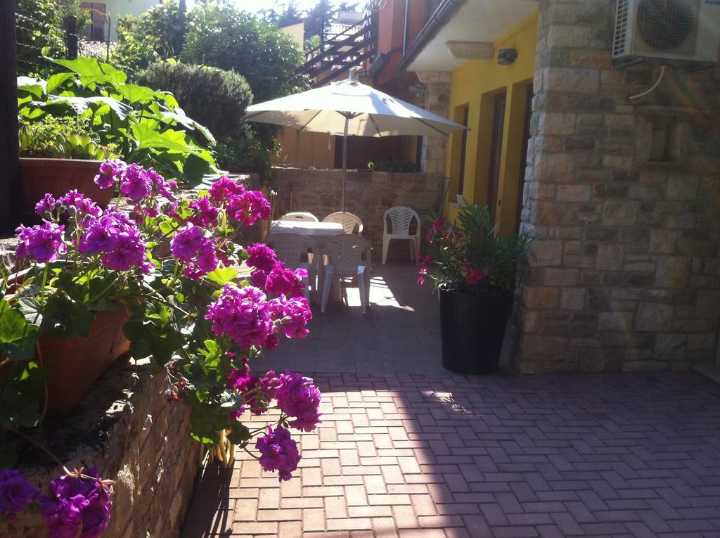 Apartment Sincic Novigrad Istria Dış mekan fotoğraf
