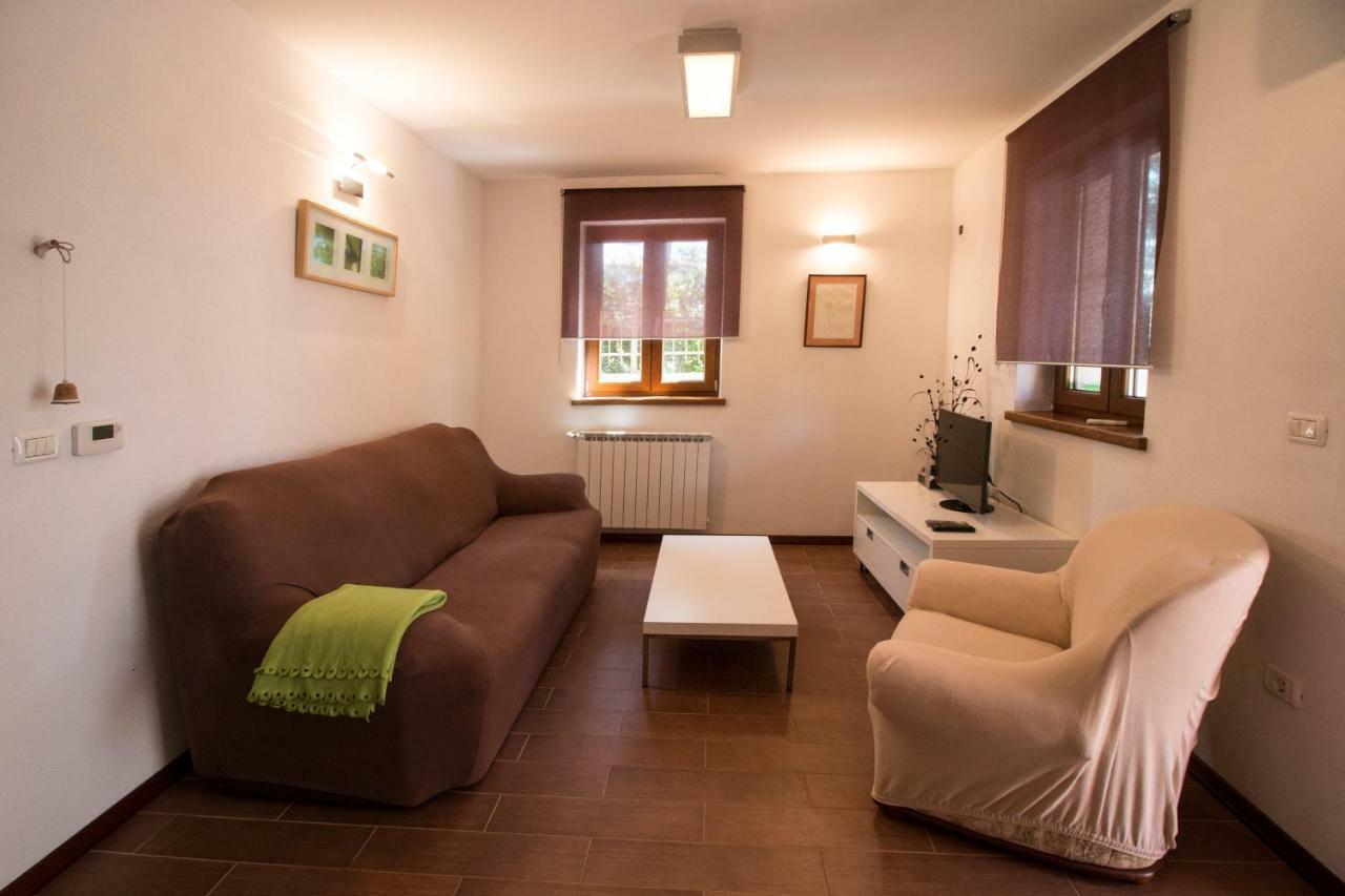 Apartment Sincic Novigrad Istria Dış mekan fotoğraf