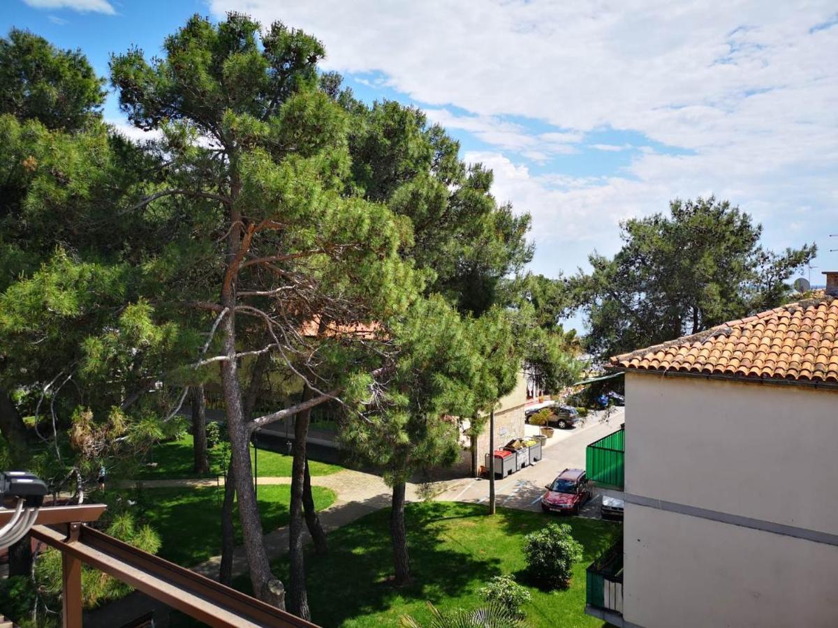 Apartment Sincic Novigrad Istria Dış mekan fotoğraf